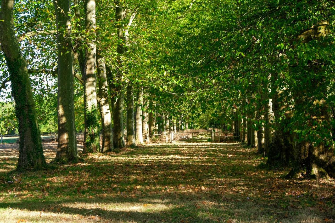 Chateau De Thouare Buitenkant foto